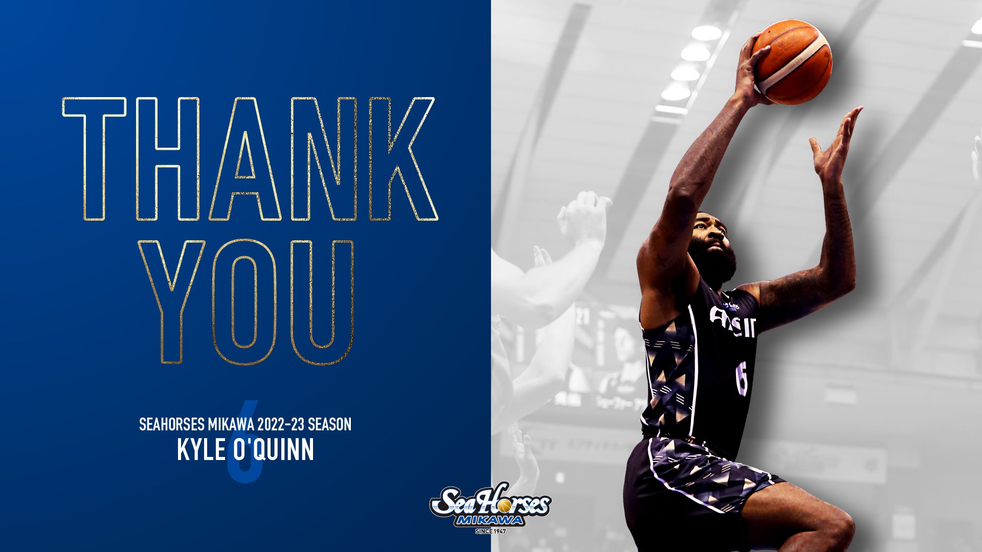 オリンパスAFLピカソ(値下げしました！) thankyou_06.jpg